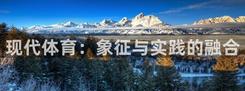 一竞技官网下载平台注册要钱吗安全吗:现代体育:象征与实践的融